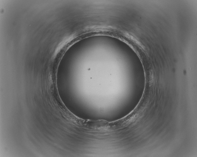 X0000072971261200608041209