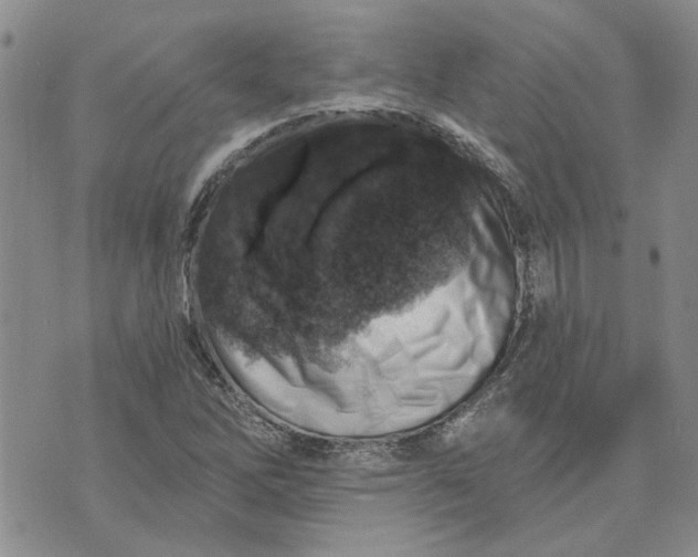 X0000072971262200608041209