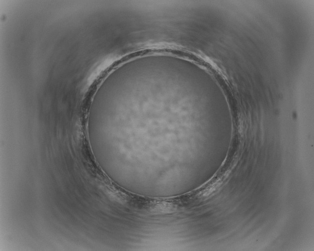 X0000072971263200608041209