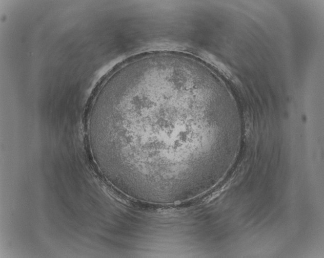 X0000072971264200608041209