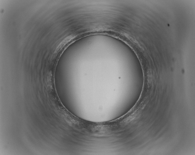 X0000072971265200608041209