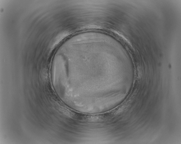 X0000072971266200608041209