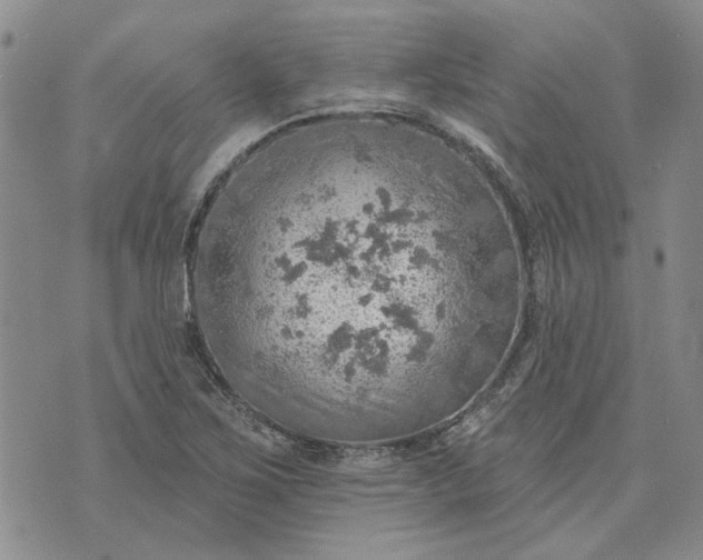 X0000072971267200608041209