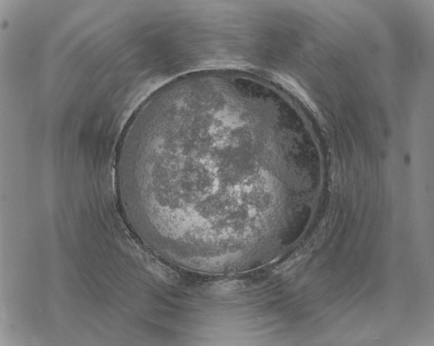 X0000072971268200608041209