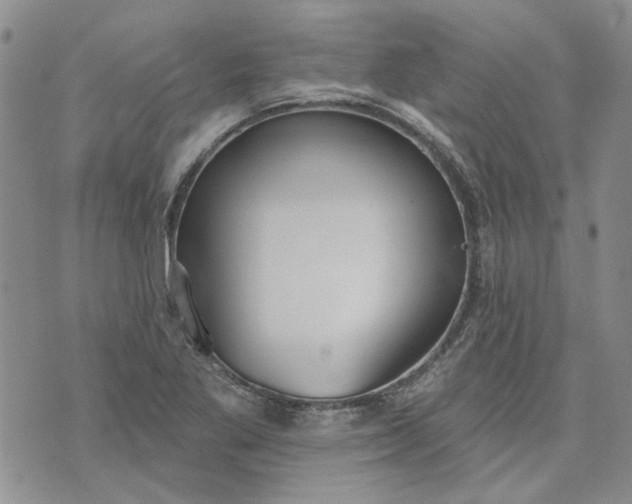 X0000072971269200608041209