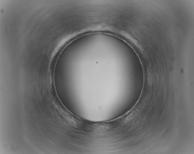 X0000072971270200608041209