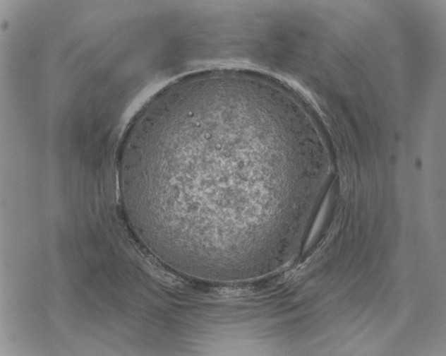 X0000072971271200608041209