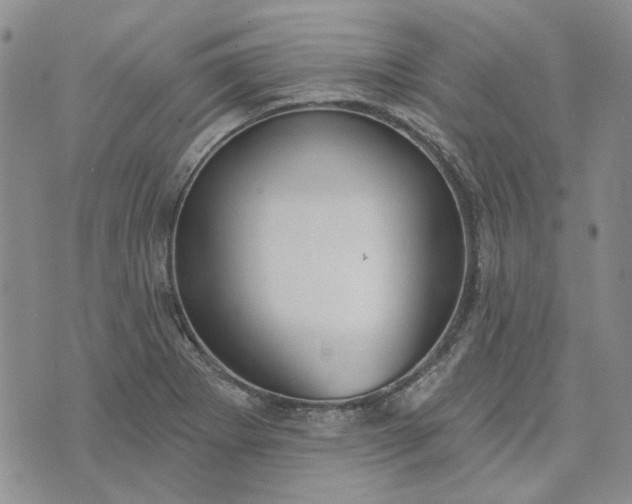 X0000072971273200608041209