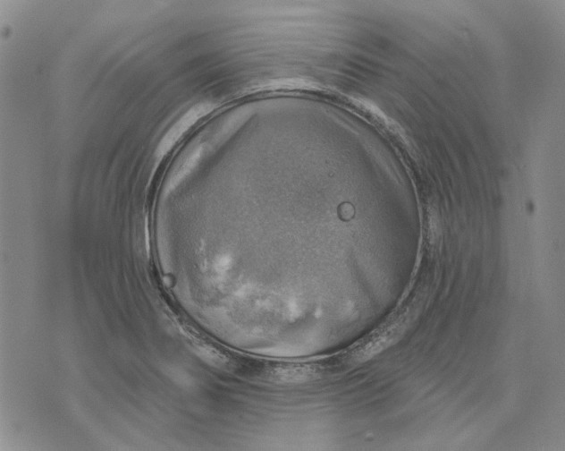 X0000072971274200608041209