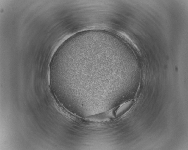 X0000072971276200608041209