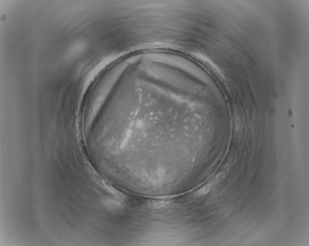 X0000072971278200608041209