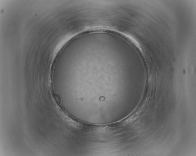 X0000072971279200608041209