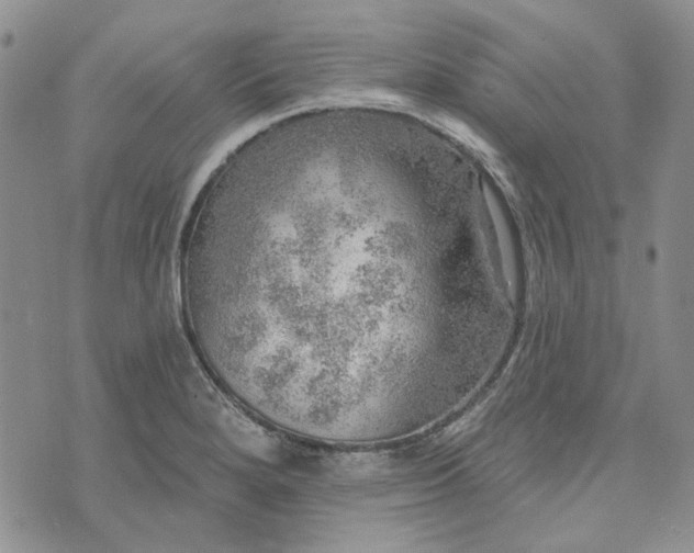 X0000072971280200608041209