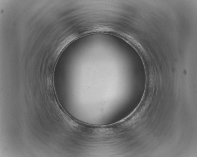 X0000072971281200608041209