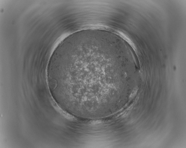 X0000072971283200608041209