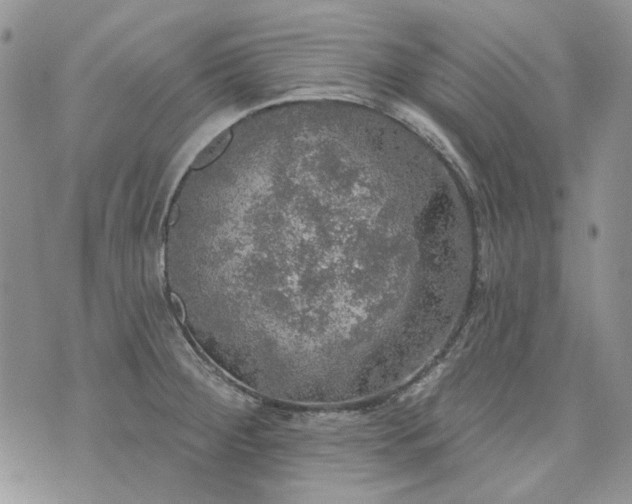 X0000072971284200608041209