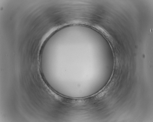 X0000072971286200608041209