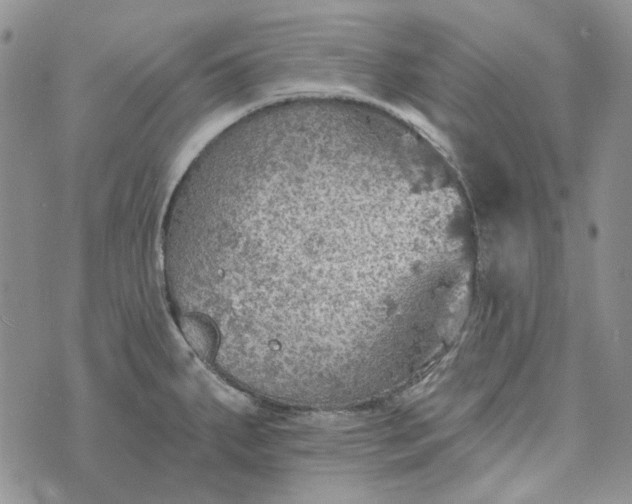 X0000072971287200608041209