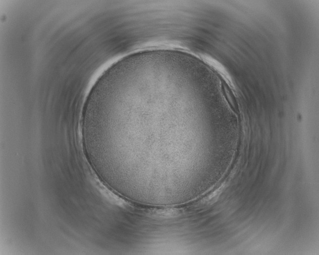 X0000072971288200608041208