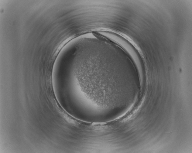 X0000072971289200608041208