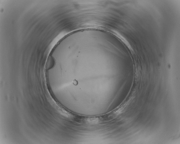 X0000072971291200608041208