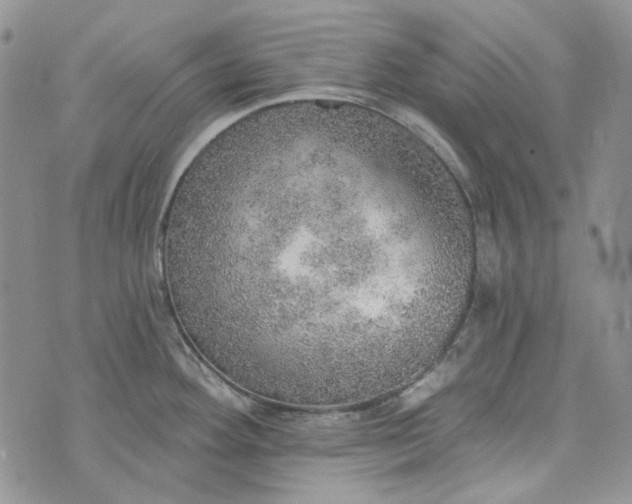 X0000072971292200608041208