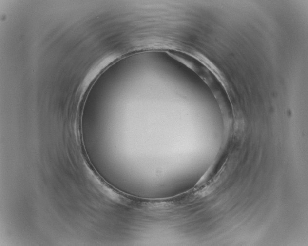 X0000072971293200608041208