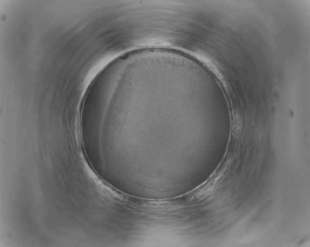 X0000072971295200608041208