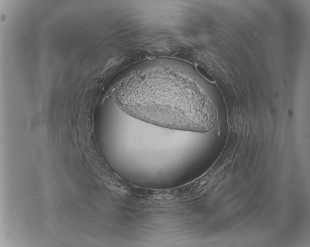 X0000072971297200608041208