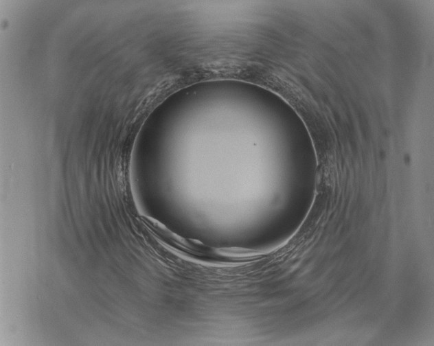 X0000072971298200608041208