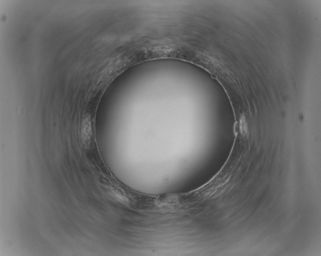 X0000072971299200608041208