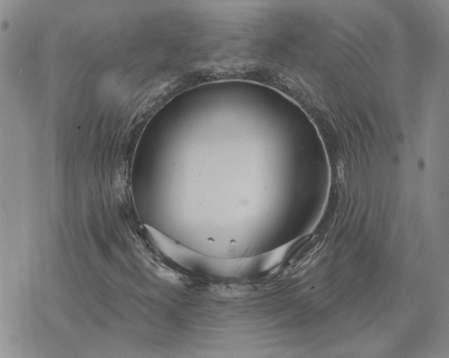 X0000072971300200608041208