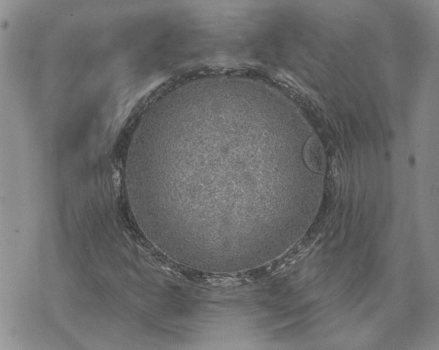 X0000072971302200608041208