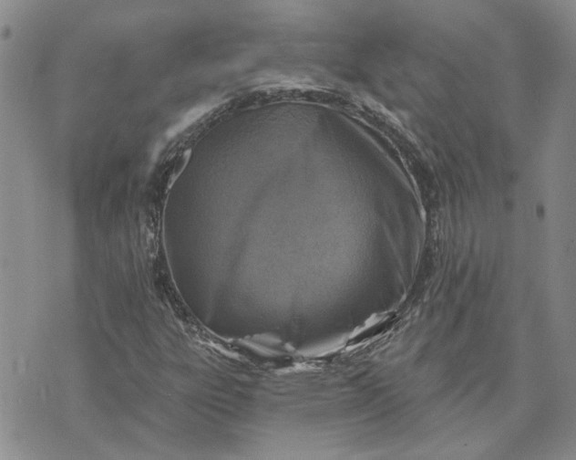 X0000072971303200608041208