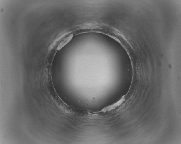 X0000072971304200608041208