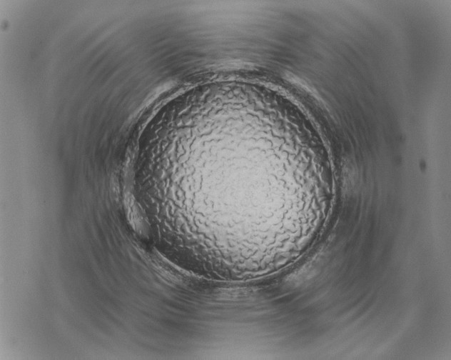 X0000072971305200608041208