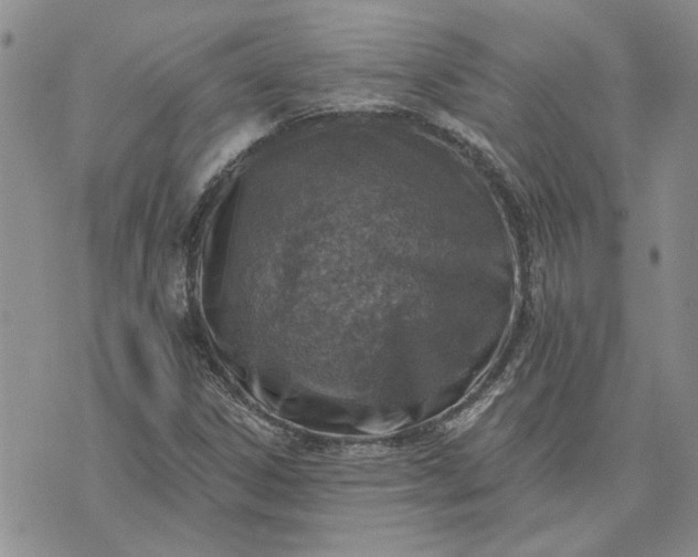 X0000072971306200608041208