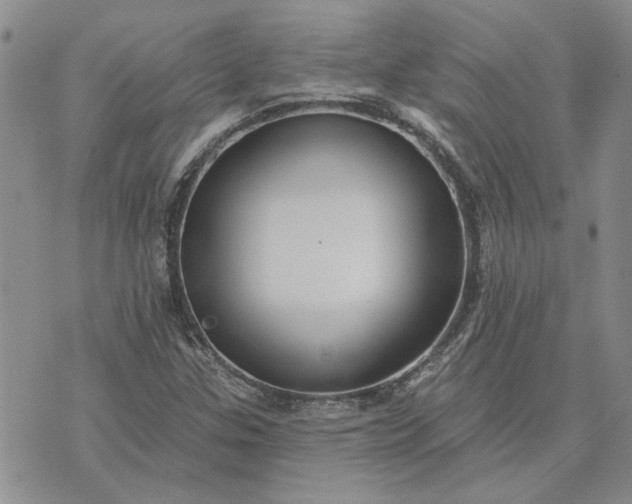 X0000072971307200608041208