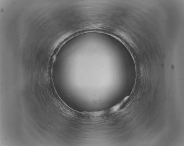 X0000072971308200608041208