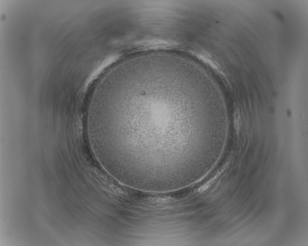 X0000072971309200608041208