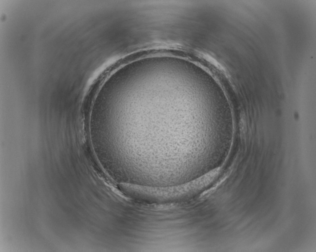 X0000072971310200608041208