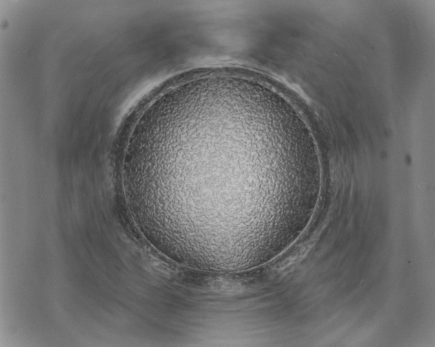 X0000072971311200608041208