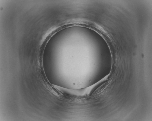 X0000072971312200608041208