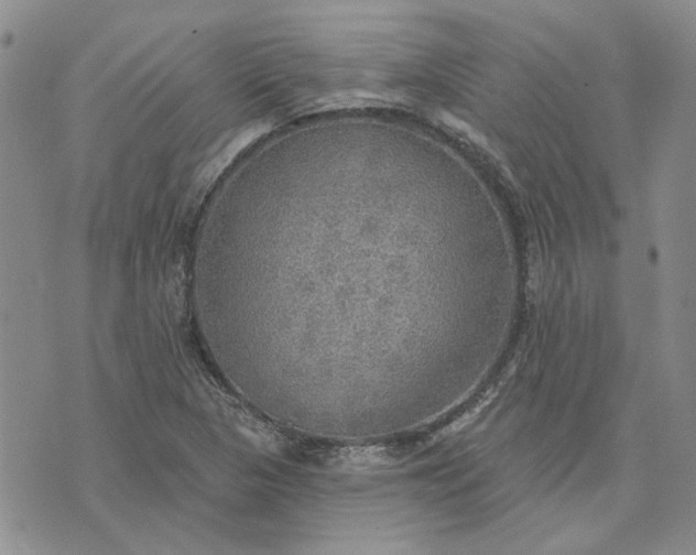 X0000072971313200608041208