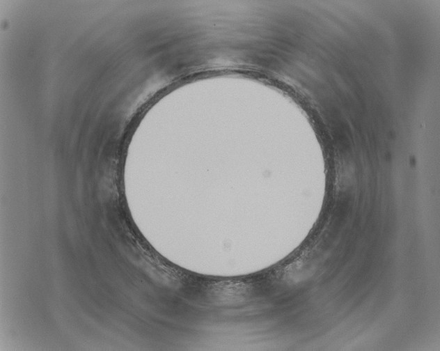 X0000072971314200608041208