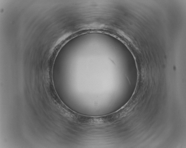 X0000072971315200608041208