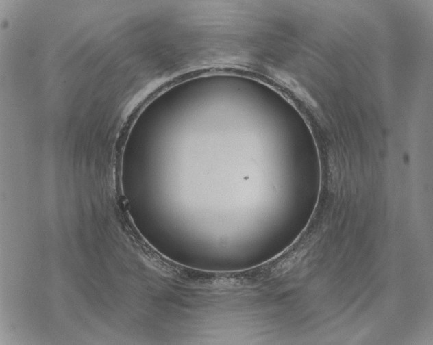 X0000072971316200608041208