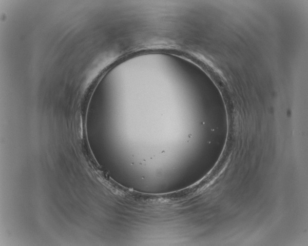 X0000072971317200608041208