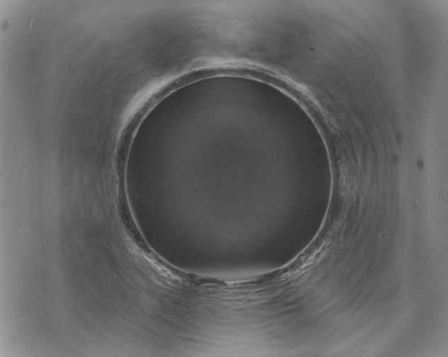 X0000072971319200608041208