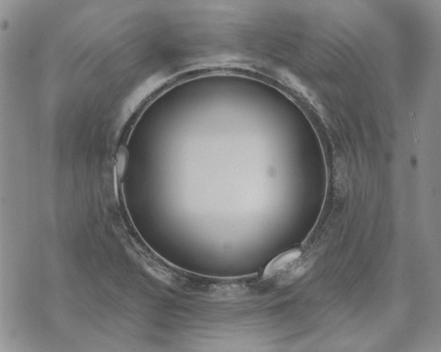 X0000072971320200608041208